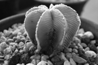 R0012838.JPG